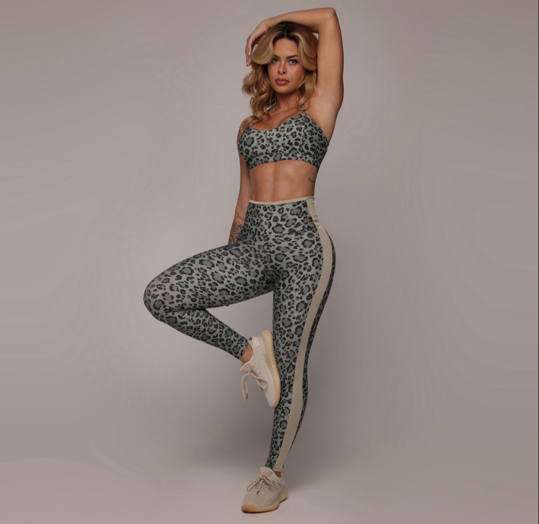 Set moving (S-M)
